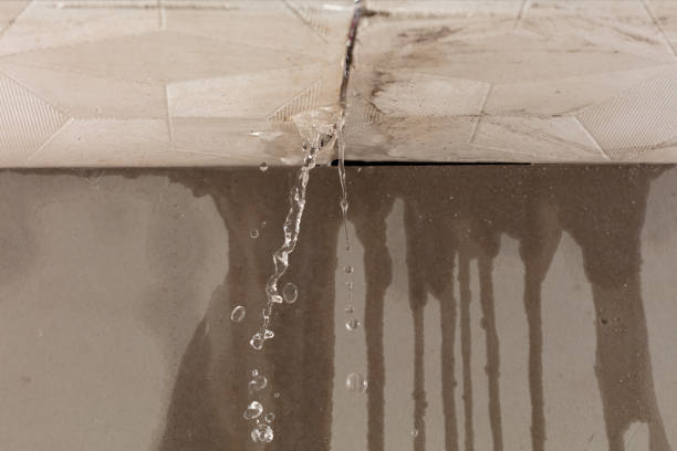 Professional Sewage Cleanup technician working in Allen, MI